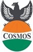 Cosmos Group Security - Logo